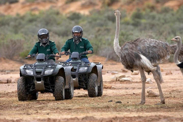 Cape Town Adventure Tours - Photo 1 of 15